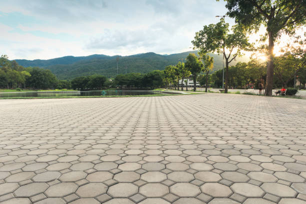 Professional Driveway Pavers in Riverbend, WA